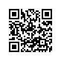 27620-20911 .JOINT, CHAIN