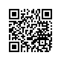 278-17424-01-00 Кольцо Стопорное