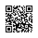 278-17425-00-00 Кольцо Стопорное