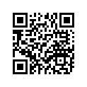 278-18127-01-00 Винт Ограничительный