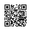 278002484 Safety Lanyard, Learning Key