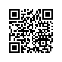 28221-166-010 RACHET,START.DRIV