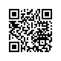 28406-918-000 E RING