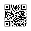 2908675 AIRFILTERELEMENT