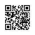 291000855 Shock Support