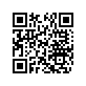 291001013 Supp.amortis. *support-shock