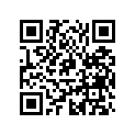 291001464 Tapis Arr.dr. *carpet-rh.rear