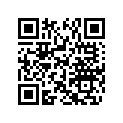 291004271 Mirror Support