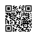 291004468 BUMPER LAT