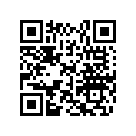 293150034 RIVET_BULBEX 4.0 X 21.2