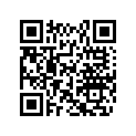 293150067 Rivet