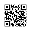 293300040 O-RING