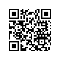 293300041 O-Ring