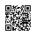 293300058 O-RING