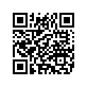 2933096 AIRFILTERELEMENT