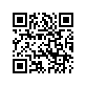 2933499 AIRCLEANERINSERT,ROAD