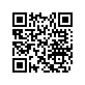 293370029 Circlip