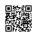 293370064 Pin