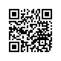 296-18140-02-00 Рычаг Ограничительный