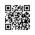 296-25330-00-00 Колодки Тормозные (Комплект)