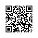 2995199A STATORASSY