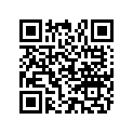 29955A1 SHIM SET