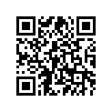 29L-25875-00-00