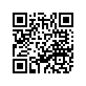 29U-11651-00-00 ROD,CONNECTING