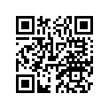 2A6-83922-00-00 . Lever R