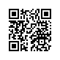 2C0-25388-00-00 Натяжитель Цепи