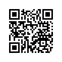 2C0-W0045-00-00 Колодки Тормозные (К-т 2 шт.)