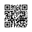 2C5-F8322-00-00 STAY 2