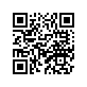 2C6-11631-00-X0 Поршень