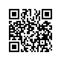 2E9-11651-00-00 ROD, CONNECTING