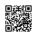 2GV-21711-00-9B Обтекатель Пластиковый