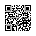 2JL-23118-00-00 Втулка Дистанционная