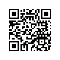 2MG-21639-00-00 Прокладка Амортизирующая