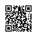 2PG-25827-20-00 Накладка на Тормозную колодку