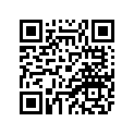 2PG-25828-10-00 Накладка на Тормозную колодку