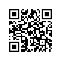 2PP-26111-00-00 Руль