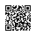 2PP-26246-00-00 Заглушка