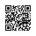 2S3-46119-30-00 SHIM, THRUST