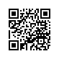 2UJ-11651-00-00 ROD,CONNECTING