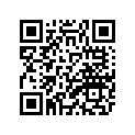 2VM-11633-01-00 Палец Поршневой