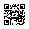 3022049 ROCKERARM ASM,#2
