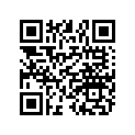 3022616 SUBSTITUTED BY 2206221