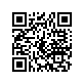 30501-176-771 Stay