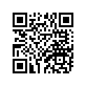 306-26242-10-00 Grip Rh
