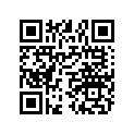 3060008 Guide, Camchain, Fixed