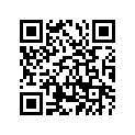 307-22123-00-00 Втулка
